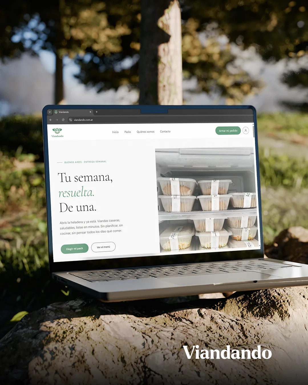 Desarrollo web Viandando · viandas nutritivas