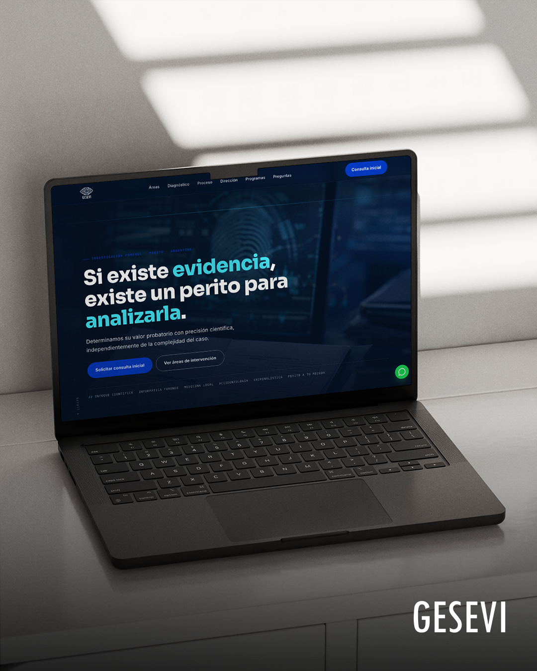 Proyecto en desarrollo Gesevi
