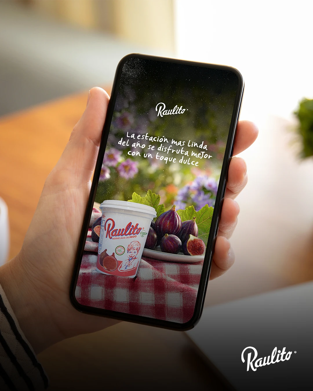 Gestión redes sociales Raulito · gastronomía