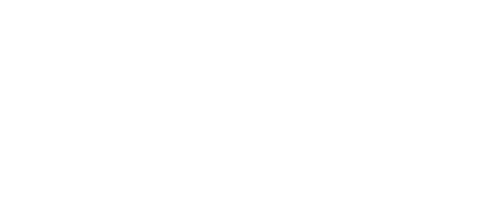 Mayorista